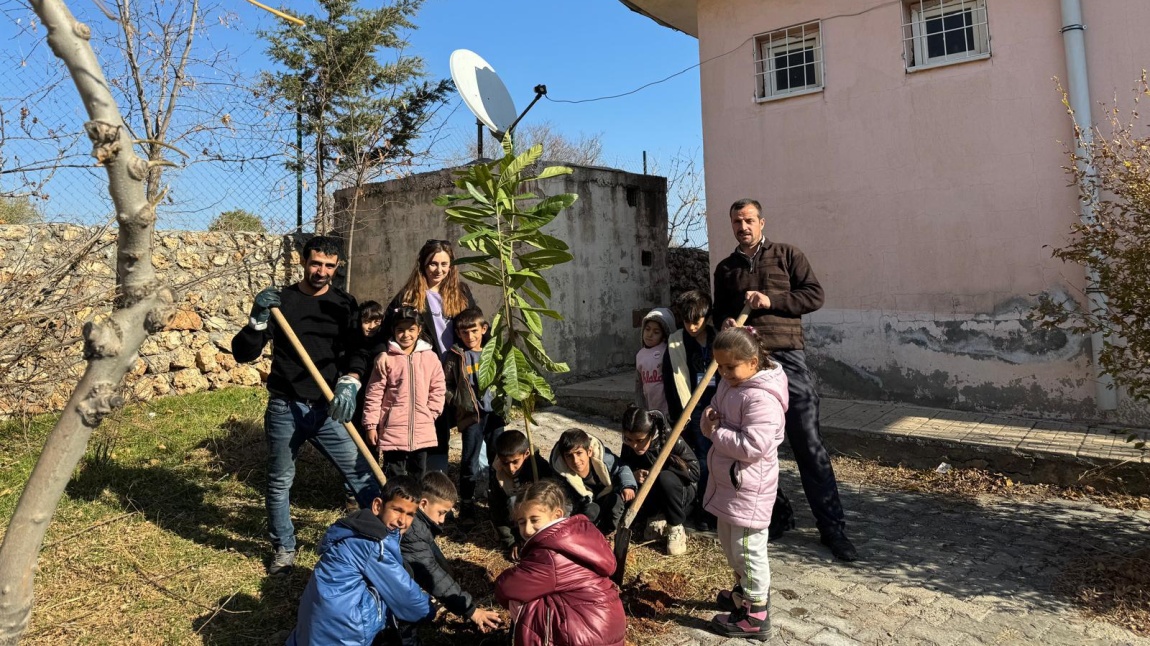 Okul Bahçemize Fidan Ekim Etkinliği